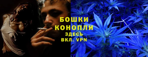 амф Алексеевка